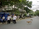 bangkok2003
